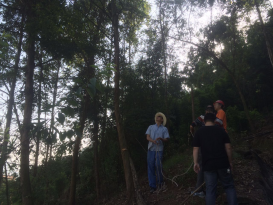 未雨绸缪 四水厂及时排除高压线路安全隐患