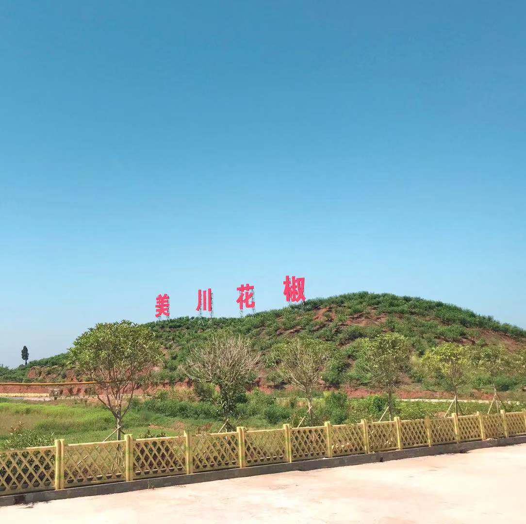 村企共创，建美丽宜居乡村