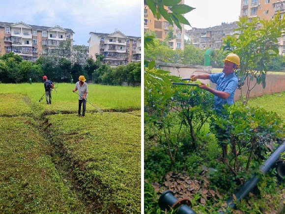 【记录一线身影】系列报道（一）丨“热辣滚烫”下的坚守